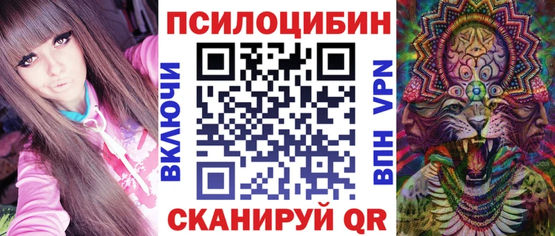 Псилоцибиновые грибы Psilocybine cubensis  Спасск-Рязанский 